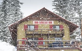 Red Shutter Inn